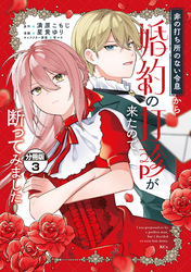 非の打ち所のない令息から婚約の打診が来たので、断ってみました　分冊版（３）