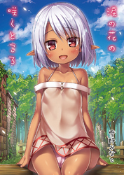 涙の花の咲くところ