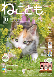 ねことも vol.93(2024年10月号)