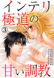 インテリ極道の甘い調教 3