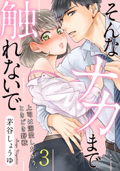 【ラブパルフェ】そんなナカまで触れないで～上司は溺愛したがり、ときどき野獣～　3