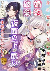 身に覚えのない理由で婚約破棄されましたけれど、仮面の下が醜いだなんて、一体誰が言ったのかしら？（24）