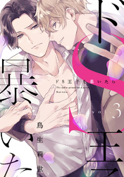 ドS王子を暴いたら3