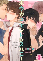 ホウカゴ・エンドレスハニー３