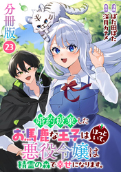 婚約破棄したお馬鹿な王子はほっといて、悪役令嬢は精霊の森で幸せになります。【分冊版】23