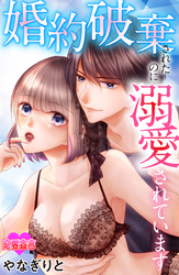 婚約破棄されたのに溺愛されています 17