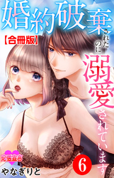 婚約破棄されたのに溺愛されています 合冊版 6
