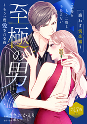 至極の男～もう一度愛される夜［ｃｏｍｉｃ　ｔｉｎｔ］　分冊版（１７）