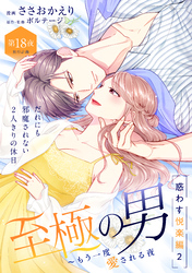 至極の男～もう一度愛される夜［ｃｏｍｉｃ　ｔｉｎｔ］　分冊版（１８）