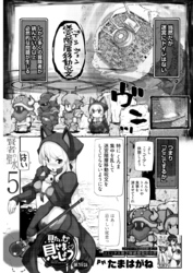 見たいもの見せましょう〈連載版〉　第39話　賢者の聖水5