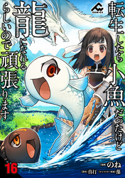 【分冊版】転生したら小魚だったけど龍になれるらしいので頑張ります 第16話