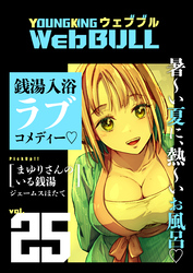 WebBULL25号