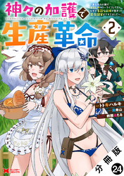 神々の加護で生産革命~異世界の片隅でまったりスローライフしてたら、なぜか多彩な人材が集まって最強国家ができてました~(コミック) 分冊版 24