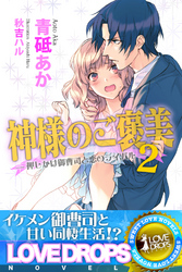 神様のご褒美２　押しかけ御曹司と恋のライバル