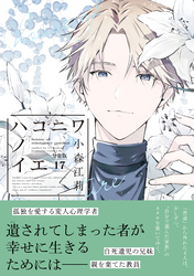 ハコニワノイエ　分冊版（１７）