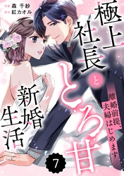 comic Berry’s離婚前提、夫婦はじめます～極上社長ととろ甘新婚生活～7巻