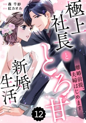 comic Berry’s離婚前提、夫婦はじめます～極上社長ととろ甘新婚生活～12巻