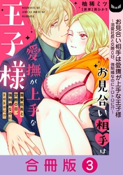 お見合い相手は愛撫が上手な王子様～溺愛社長と交際０日、強制婚なのにトロトロに！？～【合冊版】 3巻