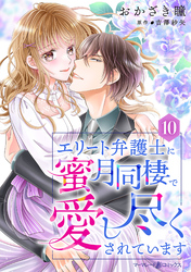 エリート弁護士に蜜月同棲で愛し尽くされています【分冊版】10話
