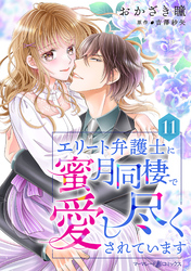 エリート弁護士に蜜月同棲で愛し尽くされています【分冊版】11話