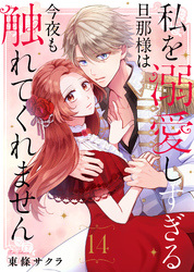 私を溺愛しすぎる旦那様は今夜も触れてくれません（14）