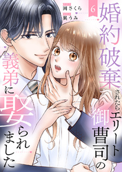 婚約破棄されたらエリート御曹司の義弟に娶られました６