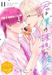 君は僕の理想の彼氏　分冊版（１１）