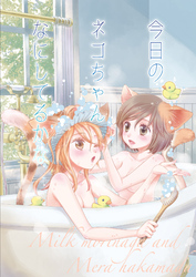 今日のネコちゃんなにしてるかな