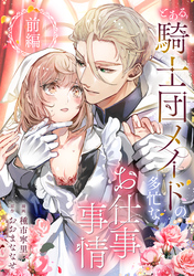 とある騎士団メイドの多忙なお仕事事情　前編