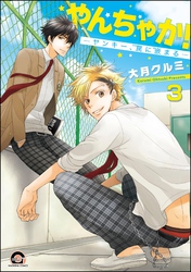 やんちゃか！─ヤンキー、罠に嵌まる─（分冊版）　【第3話】