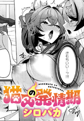 猫又の発情期