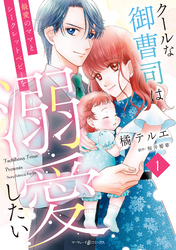 【期間限定　試し読み増量版】クールな御曹司は最愛のママとシークレットベビーを溺愛したい　1