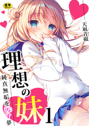 理想の妹～純真無垢を汚す夢～【R18版】