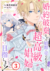 婚約破棄されて娼館に売られる(予定)なので、超高級娼婦を目指します!3
