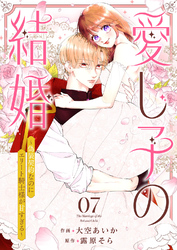 愛し子の結婚～偽装契約なのにエリート騎士様が甘すぎる～７