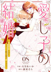 愛し子の結婚～偽装契約なのにエリート騎士様が甘すぎる～８