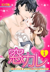 窓カレ～35階から立ちバック見られちゃった！？～