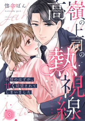 高嶺の上司の熱視線～同情のはずが、甘く切望されてしまいました～(3)