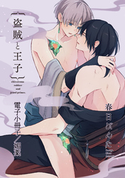 盗賊と王子【電子小冊子／媚薬】