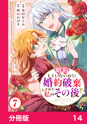 婚約していないのに婚約破棄された私のその後【分冊版】14