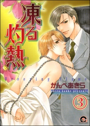 凍る灼熱（分冊版）　【第3話】