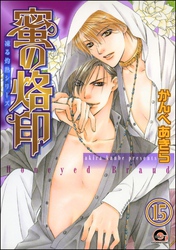 凍る灼熱（分冊版）　【第15話】