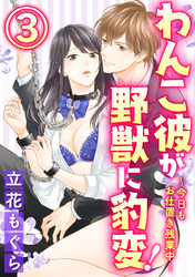 わんこ彼が野獣に豹変！～今日もお仕置き残業中～（分冊版）資料室でうしろから　【第3話】