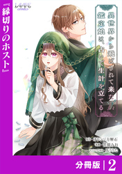 異世界から飛ばされて来た鑑定娘は、占いで生計を立てる【分冊版】２