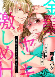 金髪ヤンキーの激しめH～初めては俺でイけ２７